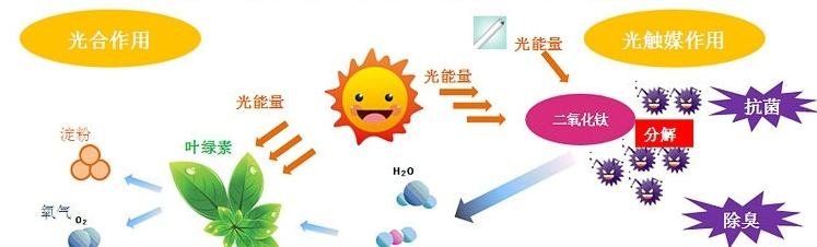 影响光触媒除甲醛的产品及价格因素 影响光触媒除甲醛的产品及价格因素