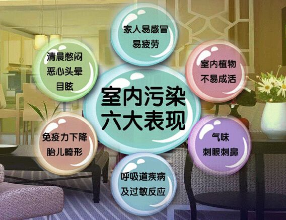 去甲醛加盟怎么样？三点选址技巧让您生意火爆