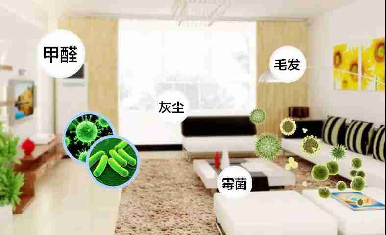 甲醛检测的项目主要有哪些