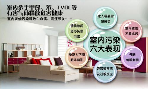 家装流行趋势变化,除甲醛已成为主流