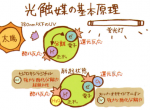 新房除甲醛方法