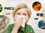 防止反弹，甲醛治理从根源做起