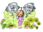 除甲醛公司带你感受无醛生活