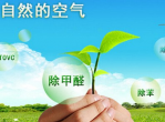 你真的了解甲醛治理方面的知识吗？