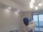 偏方真的能除甲醛吗？