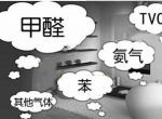 现在我国室内装修的主要特点