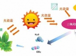 家中甲醛超标，什么才是甲醛治理的正确姿势？