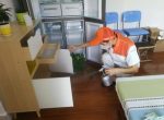 除甲醛公司真的可靠吗