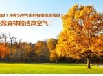 创绿家除甲醛