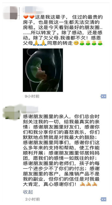 创绿家感恩活动月—赞成中心篇
