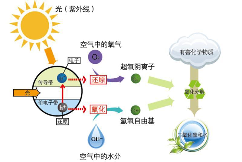 甲醛治理 甲醛治理