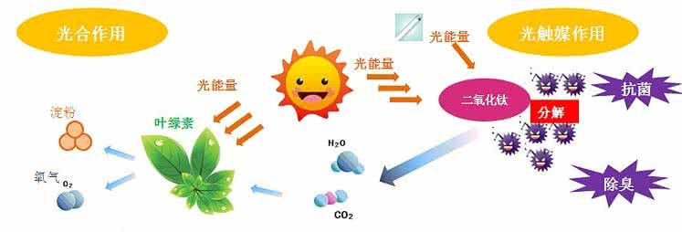 家中甲醛超标,什么才是甲醛治理的正确姿势? 家中甲醛超标,什么才是甲醛治理的正确姿势?