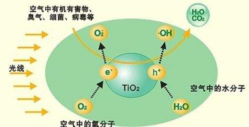 除甲醛公司与您分享窗帘中甲醛的秘密 除甲醛公司与您分享窗帘中甲醛的秘密